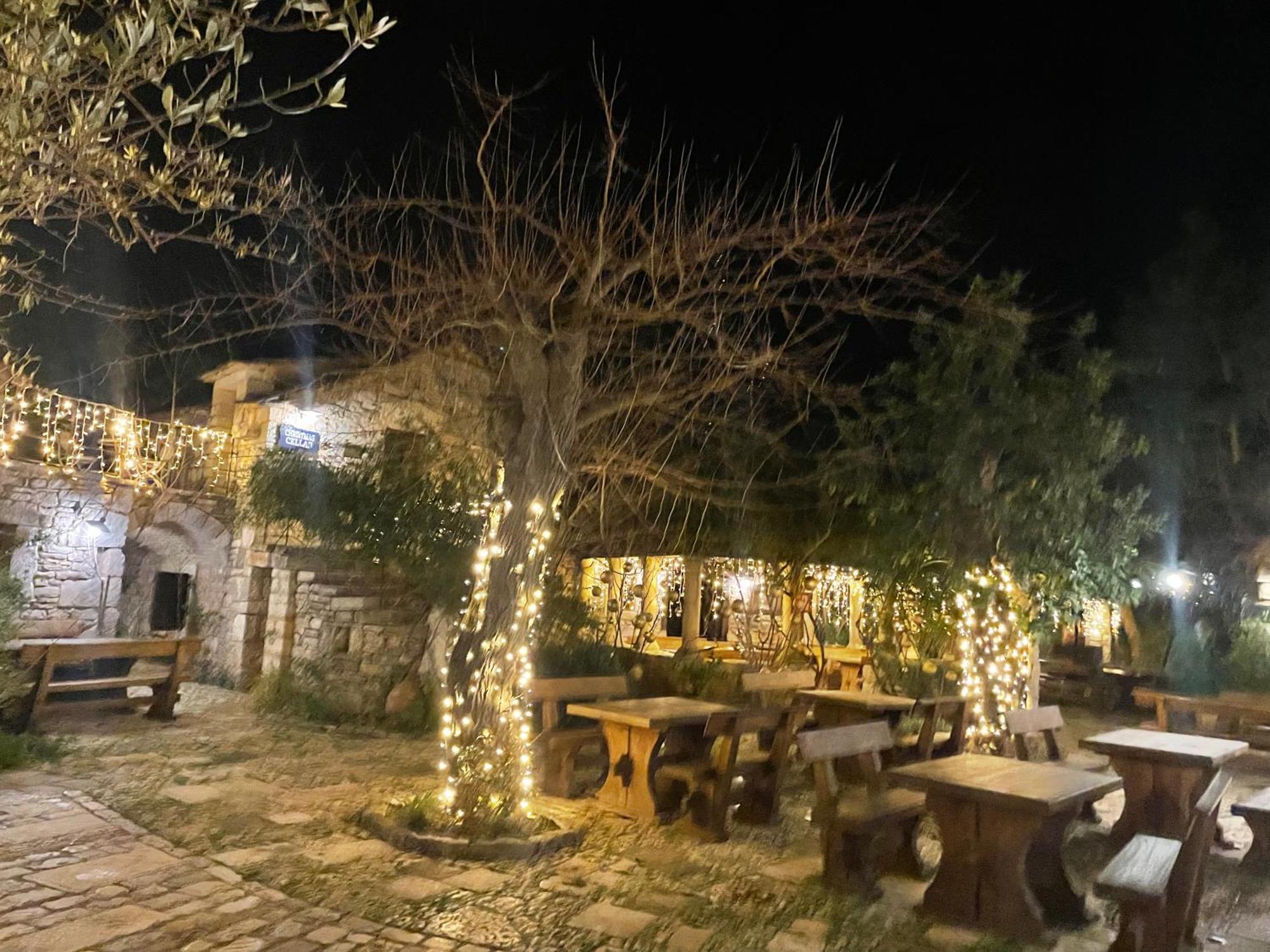 My Adriatic Place With Private Garden And Garage Šibenik Eksteriør billede